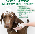 Anti-Itch Oatmeal Pet Shampoo — Skin Relief Formula LUSHYLIFE