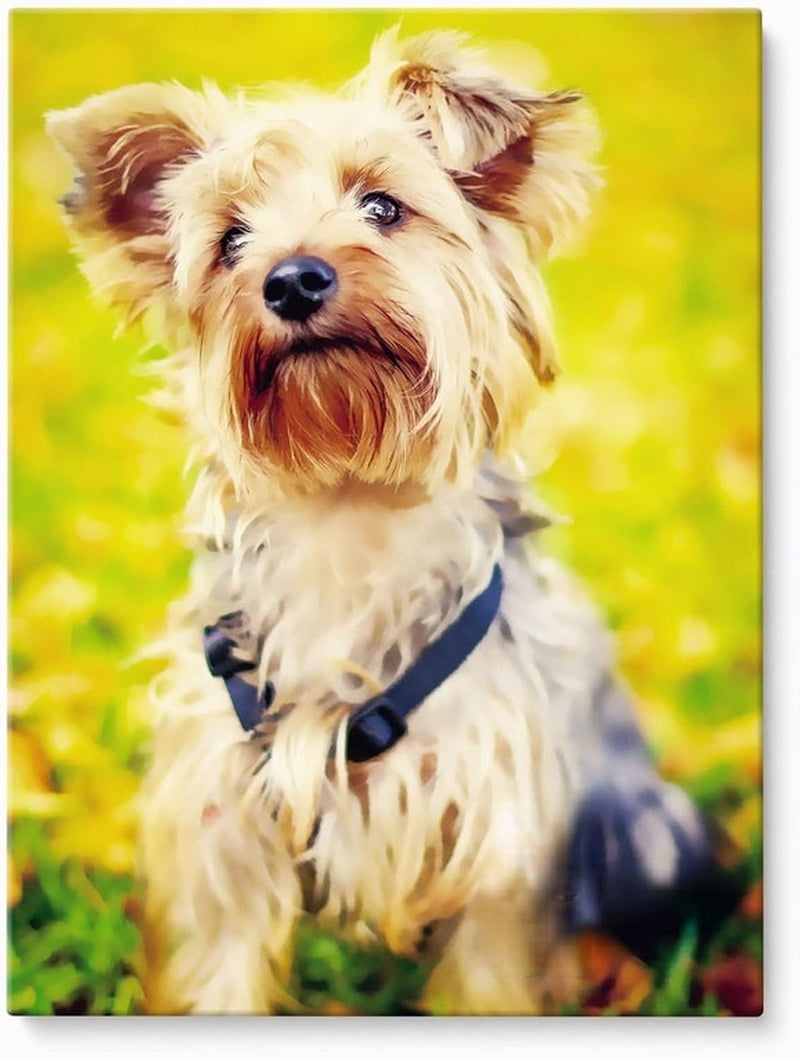 Custom Pet Portrait Digital Art — Printable Download