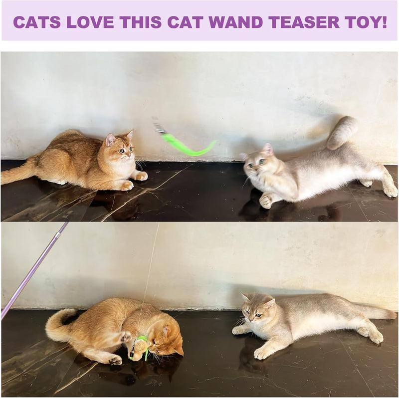 Feather Wand Cat Teaser Toy — Retractable 100cm Wand