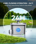 Cat Water Fountain — Ultra-Quiet Filter Pump, 2.5L LUSHYLIFE