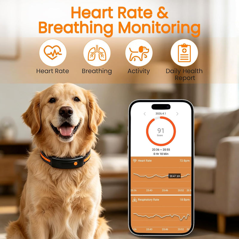 Pet Activity & Health Fitness Tracker — Clip-On Monitor