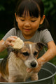 Eco-Friendly Natural Pet Shampoo Bar — Zero Waste Grooming