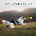 Automatic Dog Ball Launcher — Indoor & Outdoor Fetch Machine LUSHYLIFE