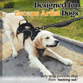 No-Pull Padded Dog Harness — Escape Proof, Reflective LUSHYLIFE