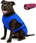 Dog Cooling Vest — Evaporative Coat for Hot Weather LUSHYLIFE