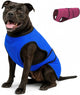 Dog Cooling Vest — Evaporative Coat for Hot Weather