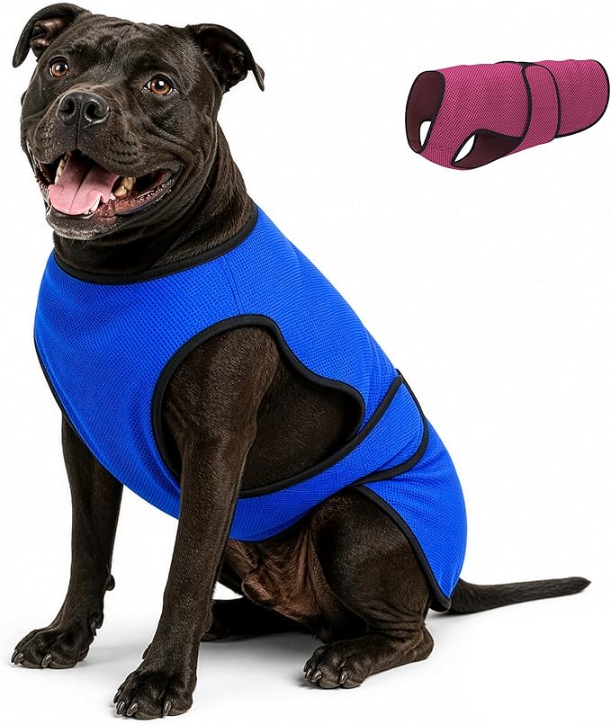 Dog Cooling Vest — Evaporative Coat for Hot Weather