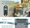 Dog Car Booster Seat — Safety Buckle, Elevated View LUSHYLIFE