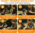 Pet Activity & Health Fitness Tracker — Clip-On Monitor LUSHYLIFE
