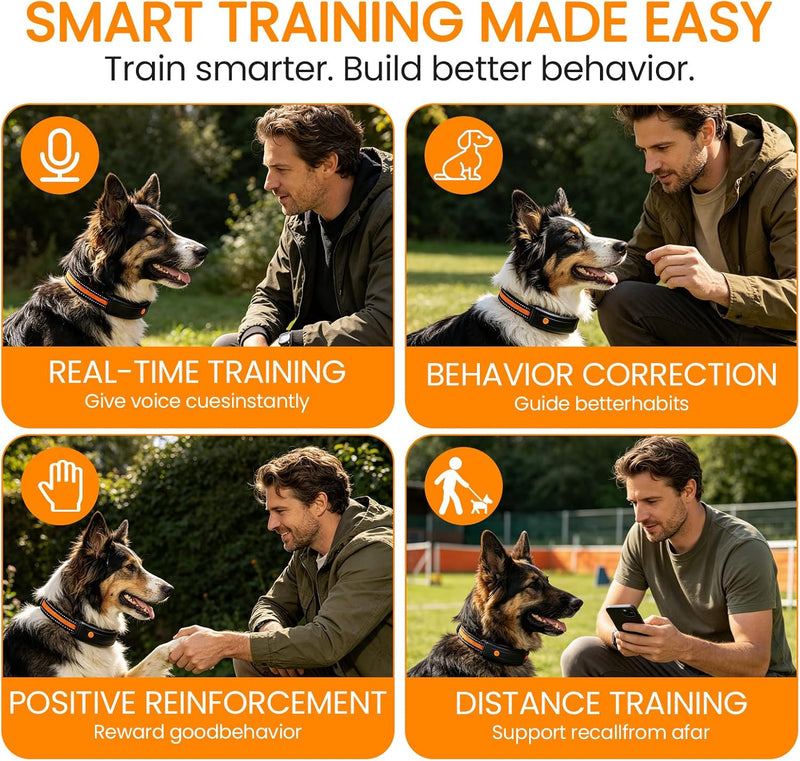 Pet Activity & Health Fitness Tracker — Clip-On Monitor