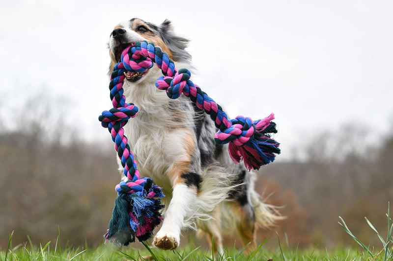 Dog Rope Chew Toy — Durable Braided Cotton Chew