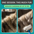 Professional Double-Sided Deshedding Brush for Dogs & Cats LUSHYLIFE