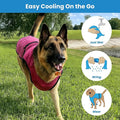Dog Cooling Vest — Evaporative Coat for Hot Weather LUSHYLIFE