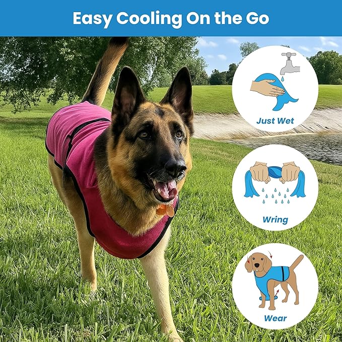 Dog Cooling Vest — Evaporative Coat for Hot Weather