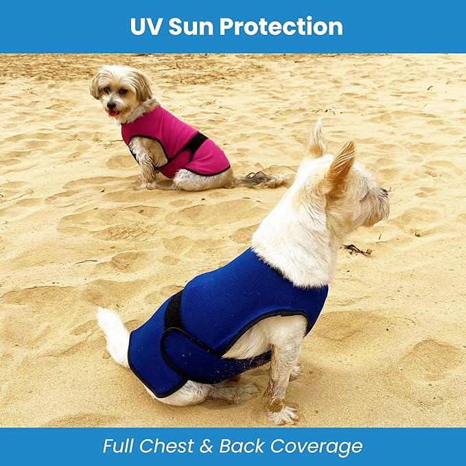 Dog Cooling Vest — Evaporative Coat for Hot Weather