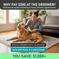 Professional Double-Sided Deshedding Brush for Dogs & Cats LUSHYLIFE